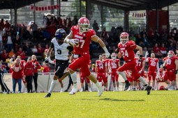 Football-Feiertag auf der Lohmühle: Cougars empfangen Hamburg Pioneers – Henderson neu im Team und Fan-Event ab 13 Uhr