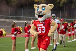 Zweitliga-Football im Stadion Lohmühle: Lübeck Cougars zu Gast beim VfB Lübeck